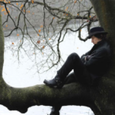 Brooding in a tree